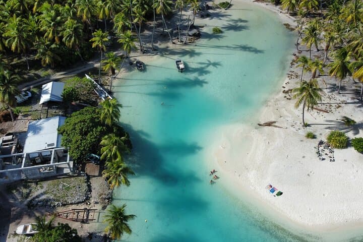Blue Lagoon Rangiroa Eco‑Tour: Snorkel Avatoru & Secret Green Lagoon photo 4