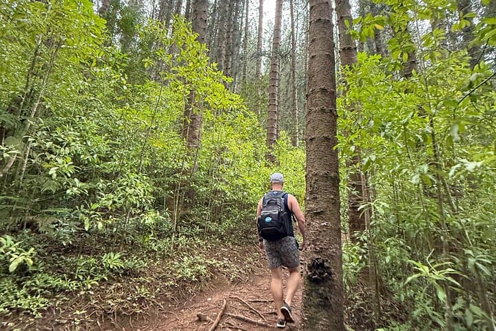 Hidden Oahu Forest Hike: Swim in a Secret Freshwater Stream