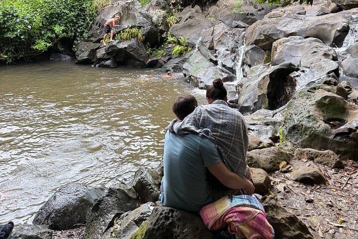 Hidden Oahu Forest Hike: Swim in a Secret Freshwater Stream photo 2