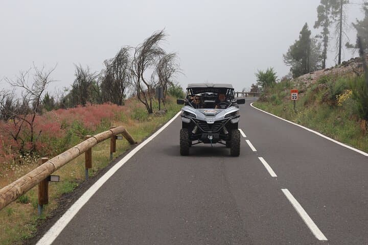 Sunset Buggy Adventure Through Teide National Park’s Volcanic Landscapes photo 3