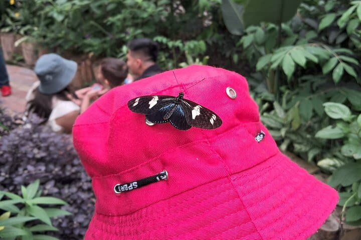 Mindo Cloud Forest Day Trip: Hummingbirds, Waterfalls & Chocolate Tasting photo 5