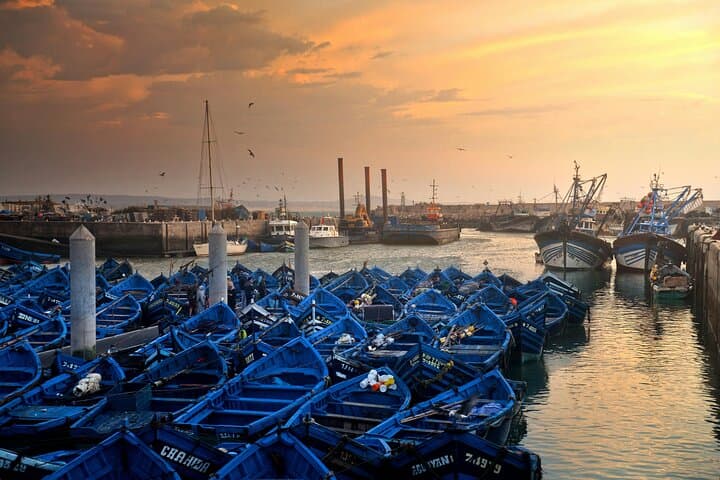 Essaouira Day Trip from Marrakech: Windswept Port, Medina & Argan Co‑ops photo 3