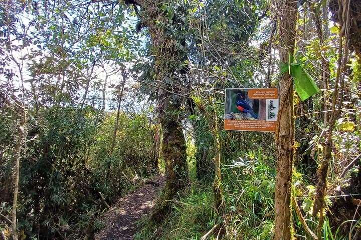 Quito Waterfalls Private Tour: Rio Pita & Condor Machay Hike photo 6