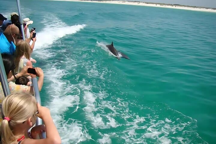 Pensacola Beach Dolphin and Scenic Cruise