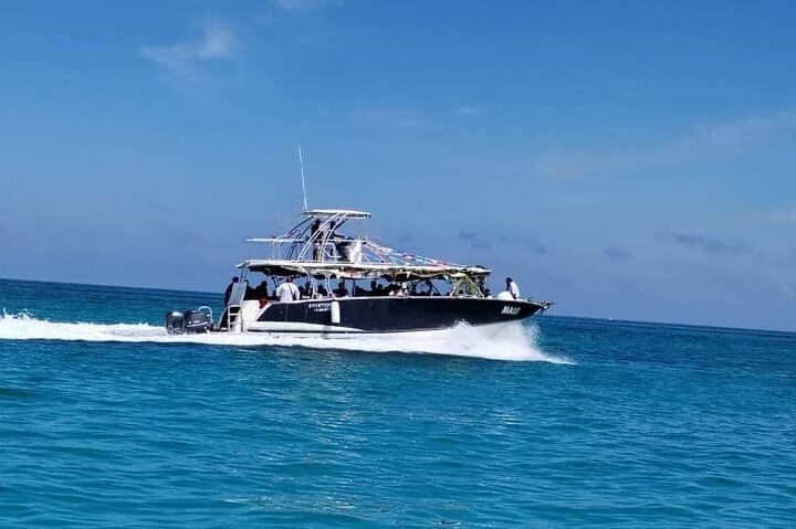 Discover Isla Contoy and Isla Mujeres: Deluxe Snorkeling Boat Tour from Cancun photo 2