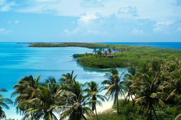 Discover Isla Contoy and Isla Mujeres: Deluxe Snorkeling Boat Tour from Cancun photo 3