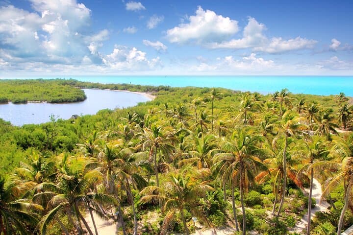 Discover Isla Contoy and Isla Mujeres: Deluxe Snorkeling Boat Tour from Cancun photo 5