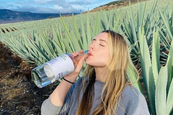 Tradicional Mezcal Experience in Mitla — Family Distillery & Agave Fields