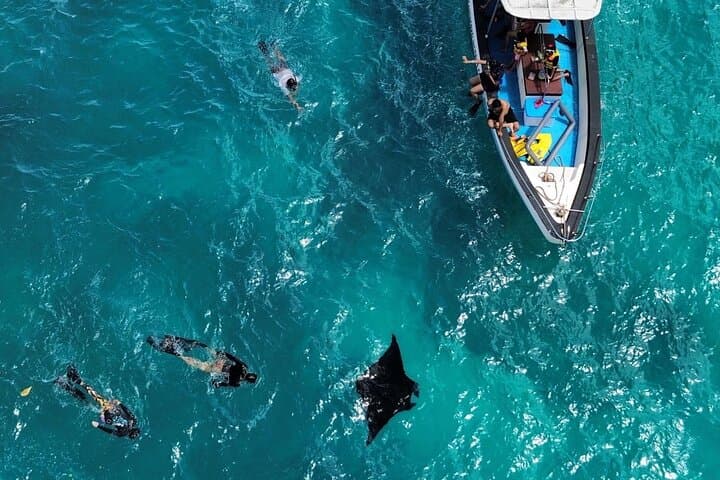 Explore Nusa Penida: Snorkeling with Manta Rays and Island Adventure