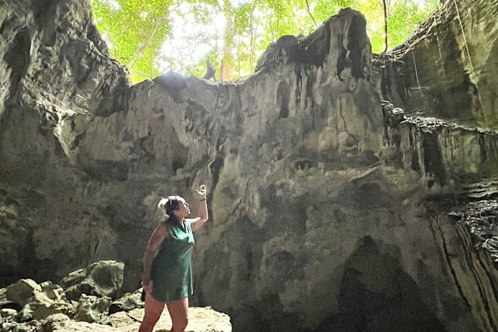 Cano Hondo & Los Haitises: Small-Group Eco-Tour from Bayahibe or Punta Cana photo 6