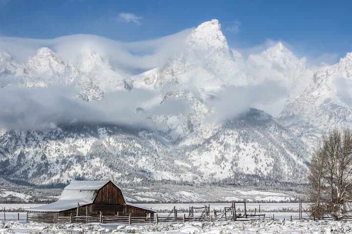 4-Hour Winter Wildlife Safari in Grand Teton National Park: A Close Encounter with Wyoming’s Iconic Wildlife photo 3