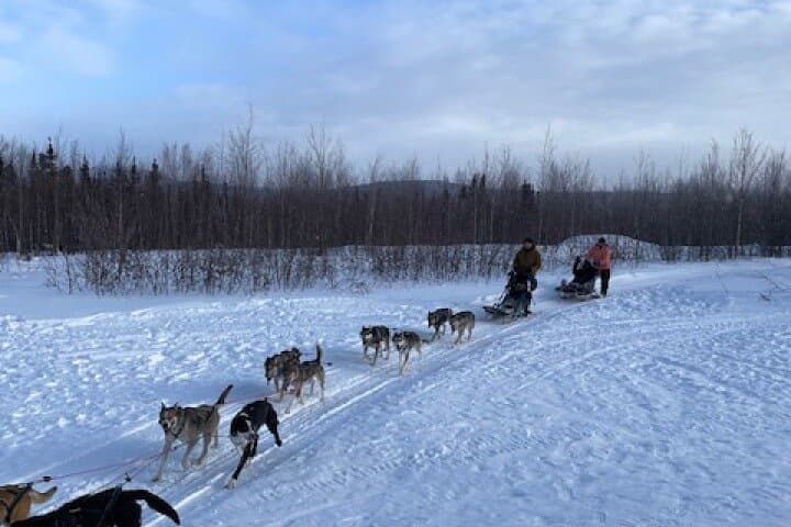2-Hour Dog Mushing School Near Fairbanks — Learn to Mush Alaskan Huskies photo 1