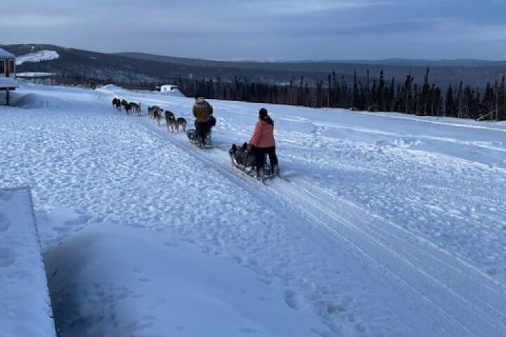 2-Hour Dog Mushing School Near Fairbanks — Learn to Mush Alaskan Huskies photo 3