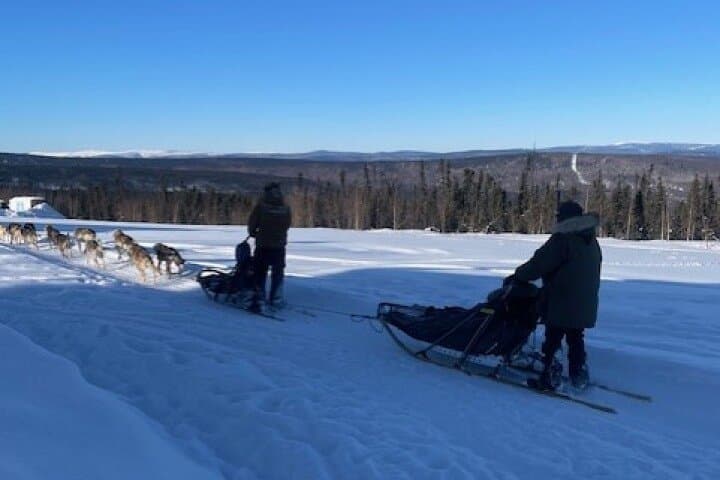 2-Hour Dog Mushing School Near Fairbanks — Learn to Mush Alaskan Huskies photo 4