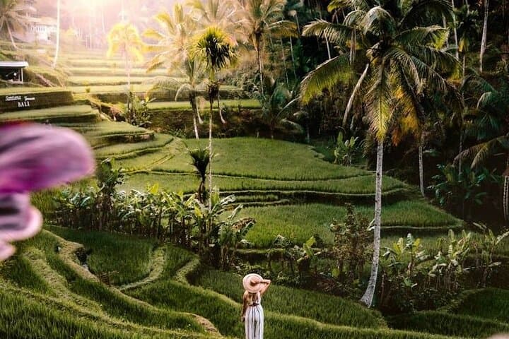 Ubud Half-Day Private Tour: Monkey Forest, Rice Terraces & Sacred Springs photo 4