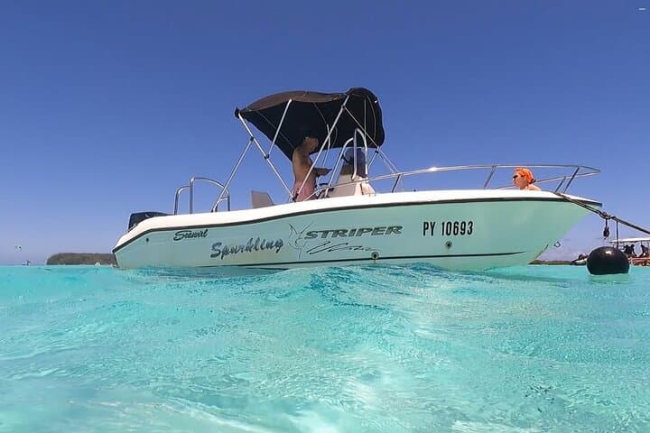 Moorea Lagoon Discovery: Half-Day Snorkel with Dolphins, Rays & Turtles photo 2