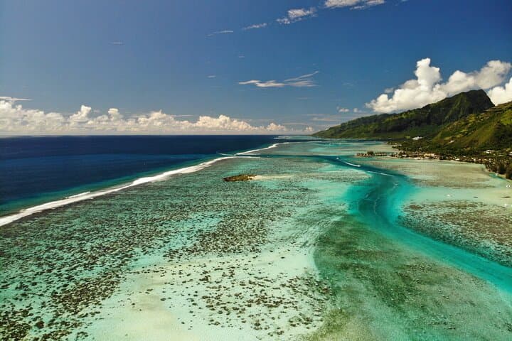 Moorea Lagoon Discovery: Half-Day Snorkel with Dolphins, Rays & Turtles photo 3