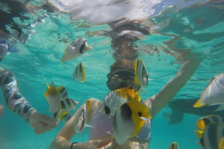 Moorea Lagoon Discovery: Half-Day Snorkel with Dolphins, Rays & Turtles photo 6