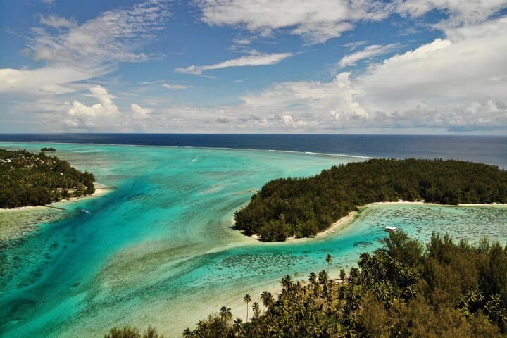 Moorea Lagoon Discovery: Half-Day Snorkel with Dolphins, Rays & Turtles