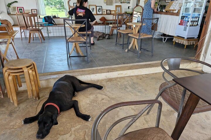 Mon Jam Hill & Elely Café Half-Day: Flower Gardens, Hilltop Views, and Countryside Coffee photo 4