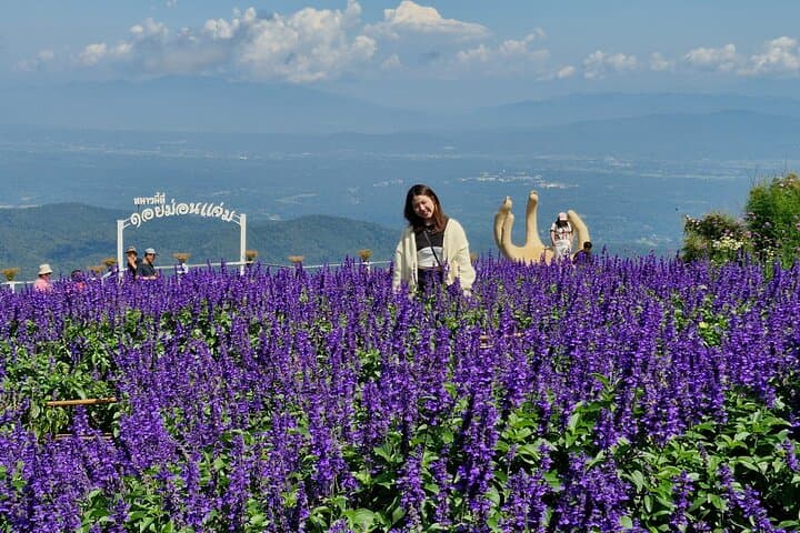 Mon Jam Hill & Elely Café Half-Day: Flower Gardens, Hilltop Views, and Countryside Coffee photo 2