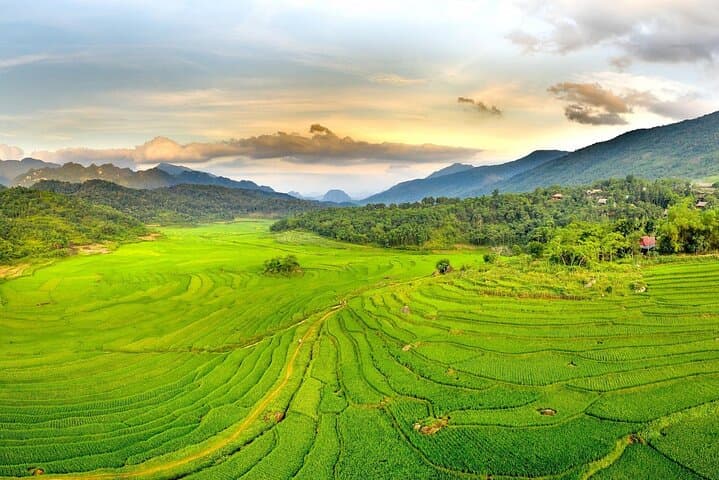 Half-Day Pu Luong Trek: Rice Terraces, Springs & Village Life