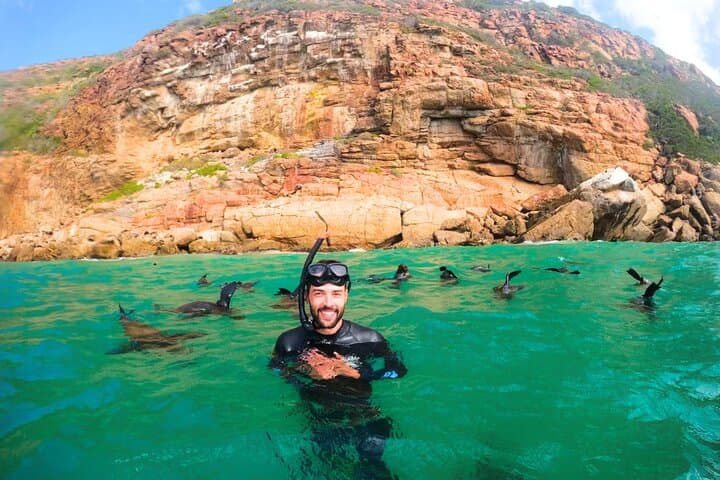 Garden Route Action Day: Zipline, Segway, Seal Swim & Robberg Abseil photo 2