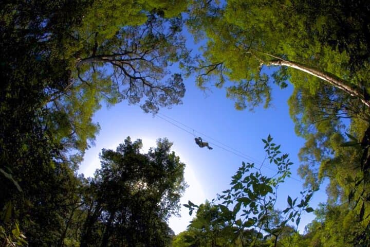 Garden Route Action Day: Zipline, Segway, Seal Swim & Robberg Abseil photo 4