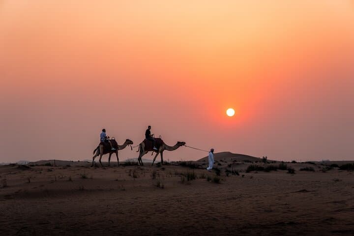 Abu Dhabi Half-Day Desert Safari: Dune Bashing, Camel Rides & Sunset BBQ photo 2