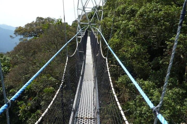 One-Day Nyungwe Forest: Canopy Walk, Waterfall & Zipline from Kigali photo 5