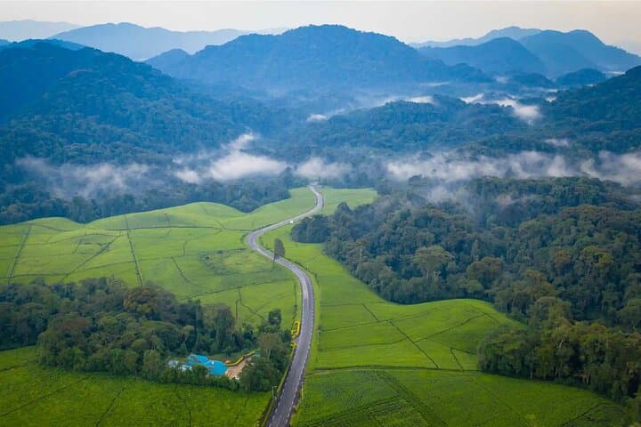 One-Day Nyungwe Forest: Canopy Walk, Waterfall & Zipline from Kigali photo 6