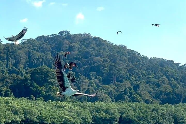 Langkawi Island Hopping: Dayang Bunting, Beras Basah & Eagle Watching photo 4