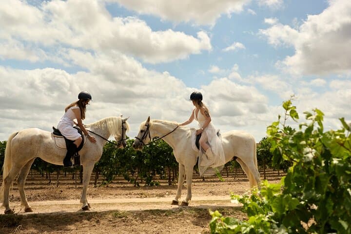 Barcelona Horseback Riding and Countryside Picnic: Beginner-Friendly Day Trip photo 3