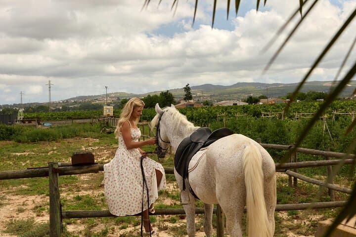 Barcelona Horseback Riding and Countryside Picnic: Beginner-Friendly Day Trip