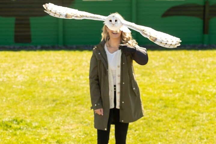 From Dublin: Cliffs of Moher, Aillwee Cave & Birds of Prey — Full-Day Coastal and Cave Tour
