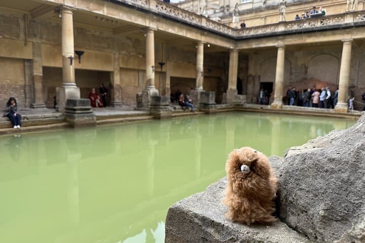 Private Day Tour: Stonehenge, Windsor Castle & Bath from London photo 5