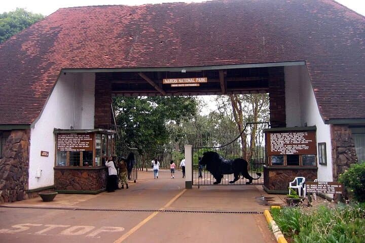 Explore Nairobi National Park: A Unique Urban Safari Experience photo 3