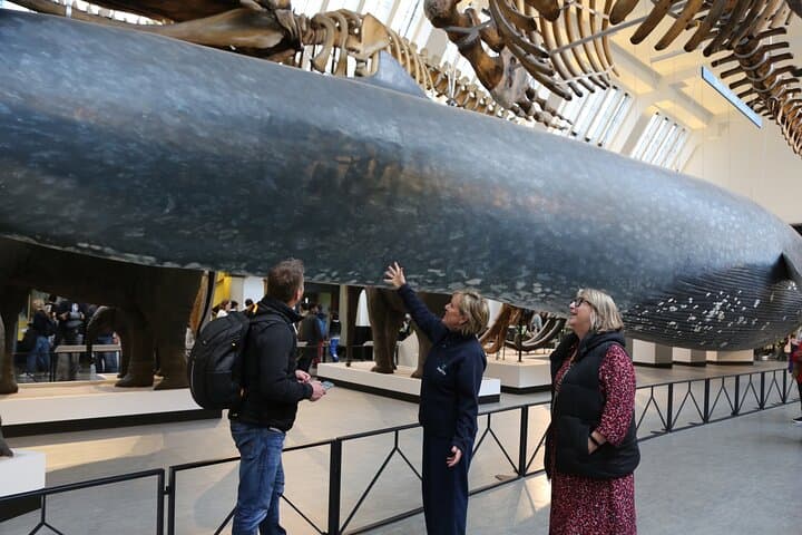 Natural History Museum London Express Tour & Multilingual Audio Guide photo 6