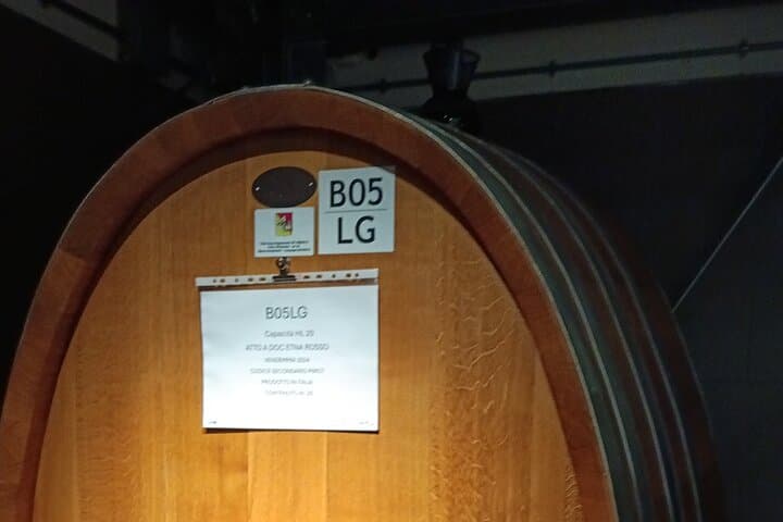 Private Catania City Tour & Etna Winery Lunch with Wine Tasting photo 5