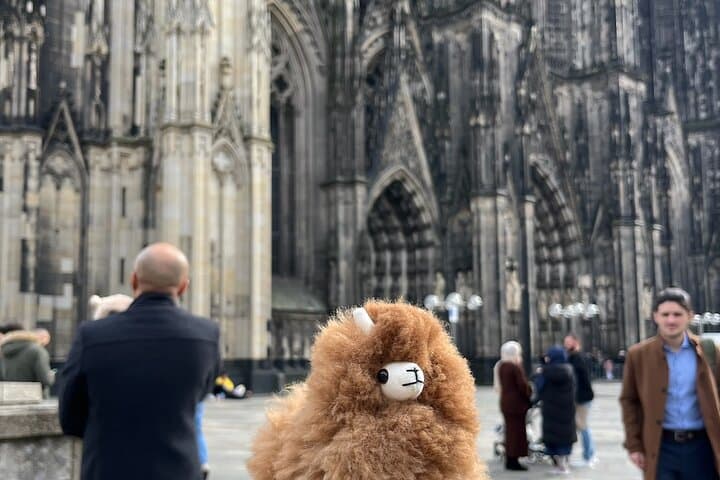 Private Day Tour from Brussels to Aachen & Cologne: Cathedrals, Rhine Walks, and Charlemagne