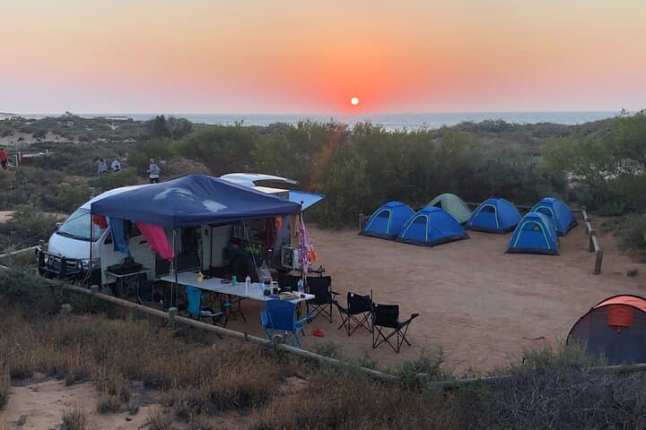 10-Day Perth to Exmouth Coastal and Outback Adventure photo 3