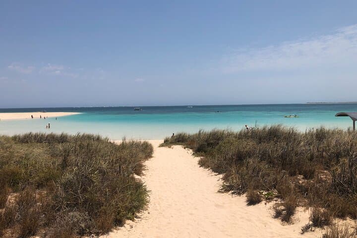 10-Day Perth to Exmouth Coastal and Outback Adventure photo 6