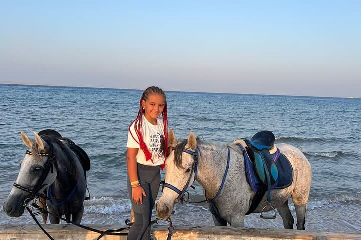 Two-Hour Horseback Ride on Hurghada Beach and Desert — Ride Into the Red Sea