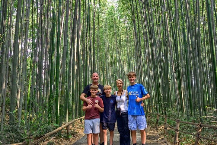 Arashiyama Bamboo Grove Walking Tour — Temple, Matcha & Monkey Park