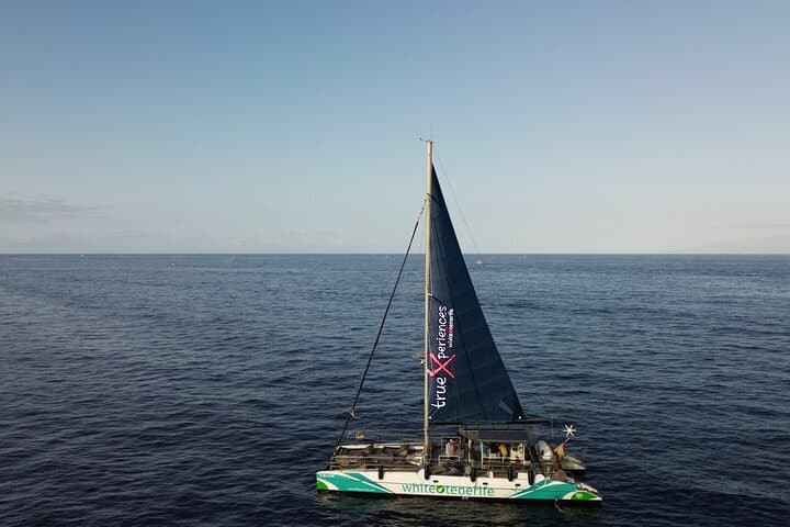 Eco Catamaran Whale and Dolphin Watching with Underwater Listening — Tenerife 3-Hour Tour photo 1