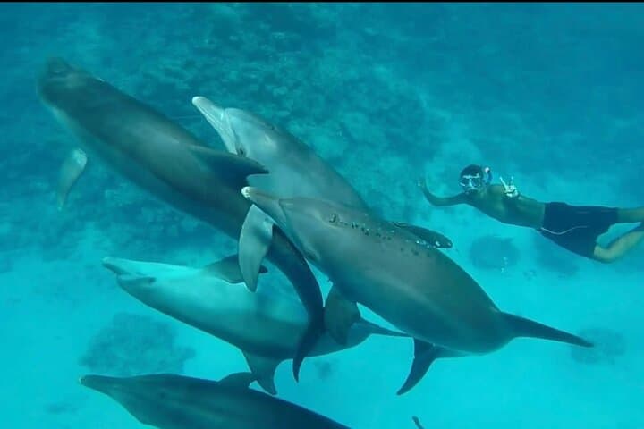 Private Yacht Charter in Hurghada: Red Sea Snorkel & Gourmet Lunch photo 4