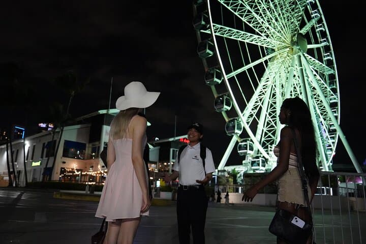 Miami Night Tour & Skyview Wheel: Biscayne Bay Skyline Experience photo 4