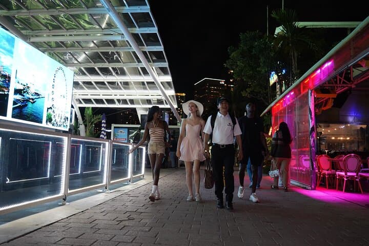 Miami Night Tour & Skyview Wheel: Biscayne Bay Skyline Experience