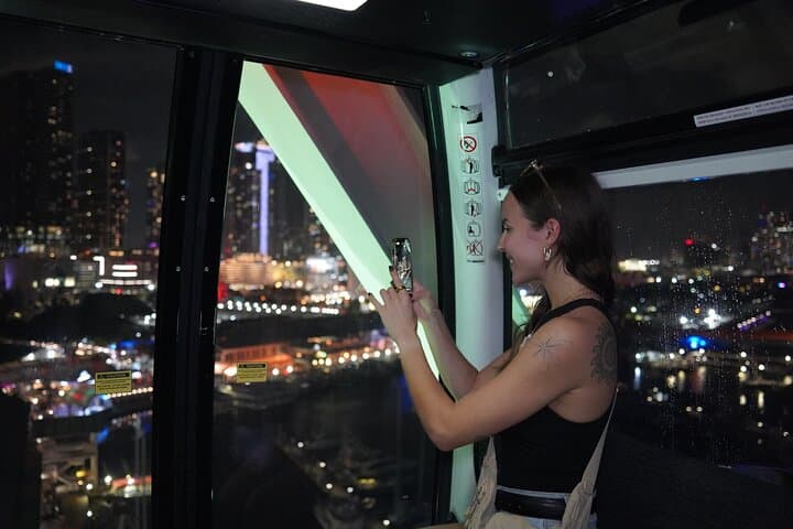 Miami Night Tour & Skyview Wheel: Biscayne Bay Skyline Experience photo 2