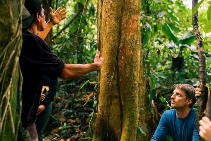 Ticote Medicine Farm Tour — Healing Plants and Indigenous Remedies Near La Fortuna